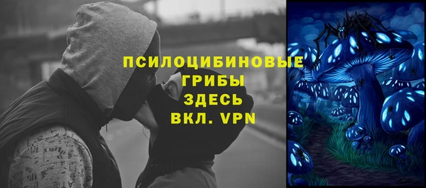 твердый Аркадак