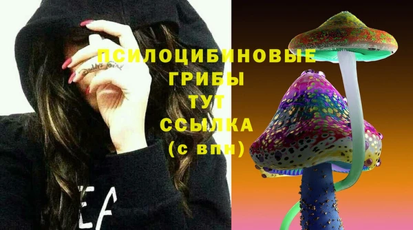 МДПВ Армянск