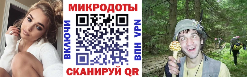 Псилоцибиновые грибы Psilocybe  Купить закладки  Задонск 